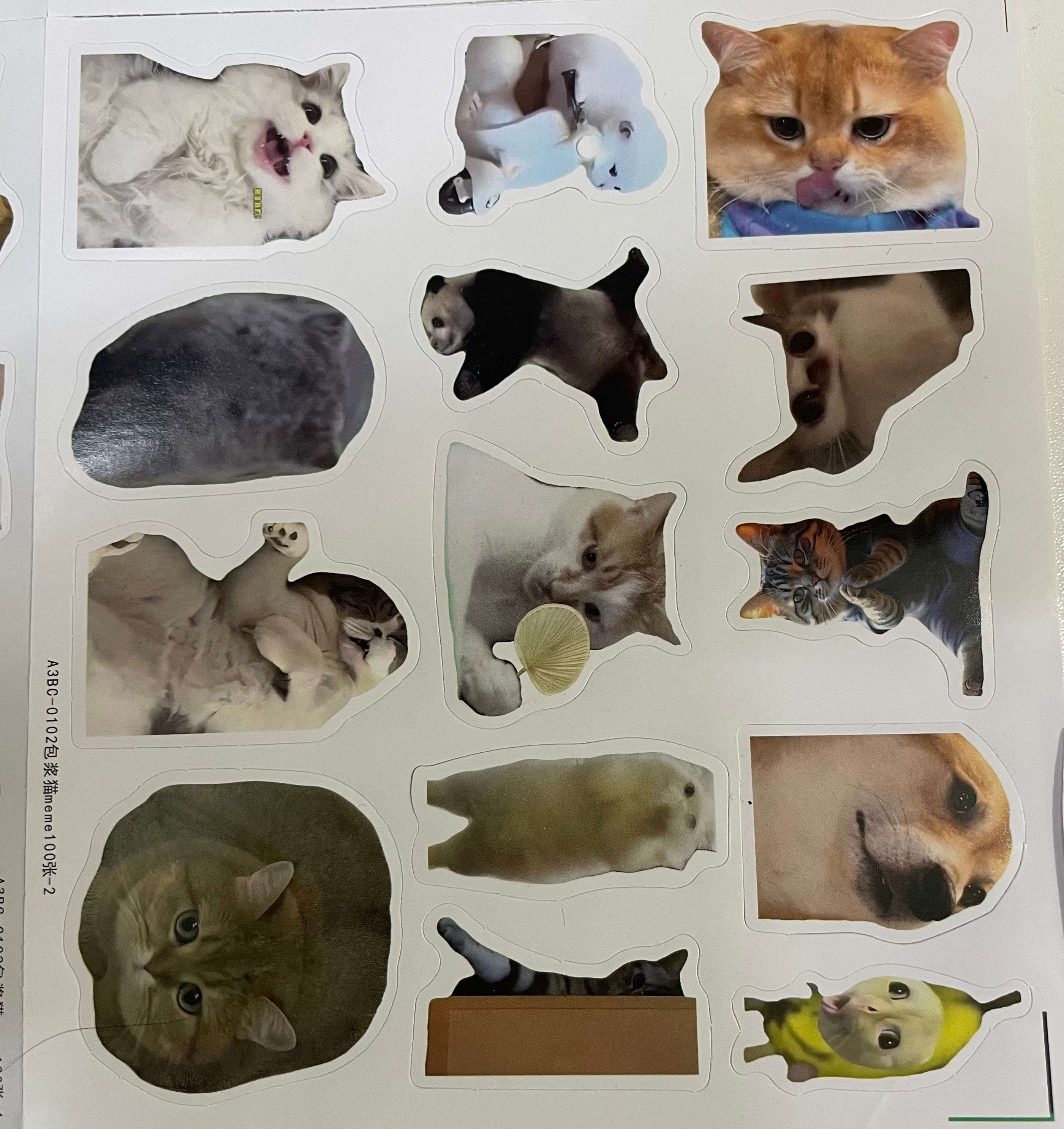 100 pcs Pet Meme Sticker