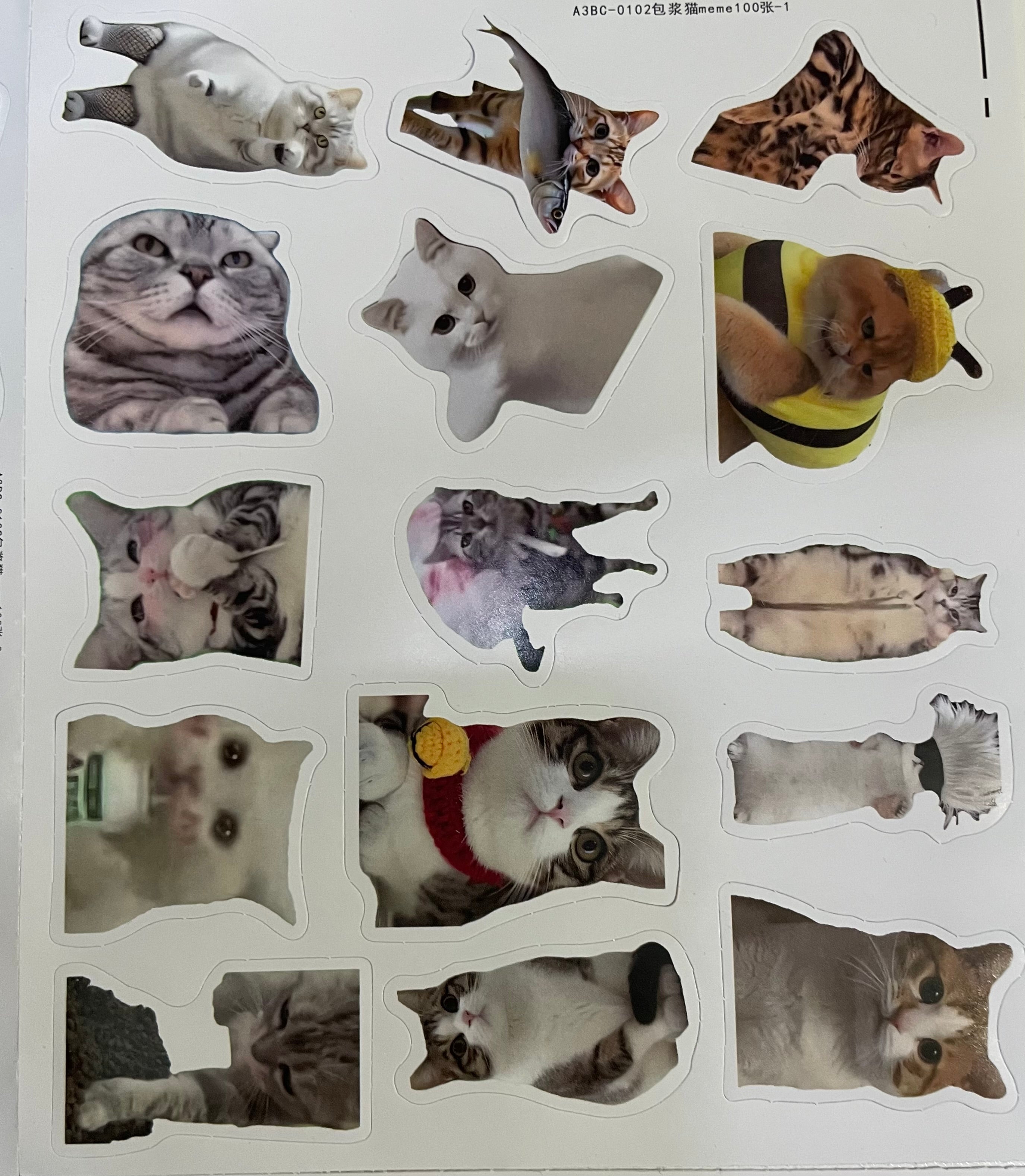 100 pcs Pet Meme Sticker