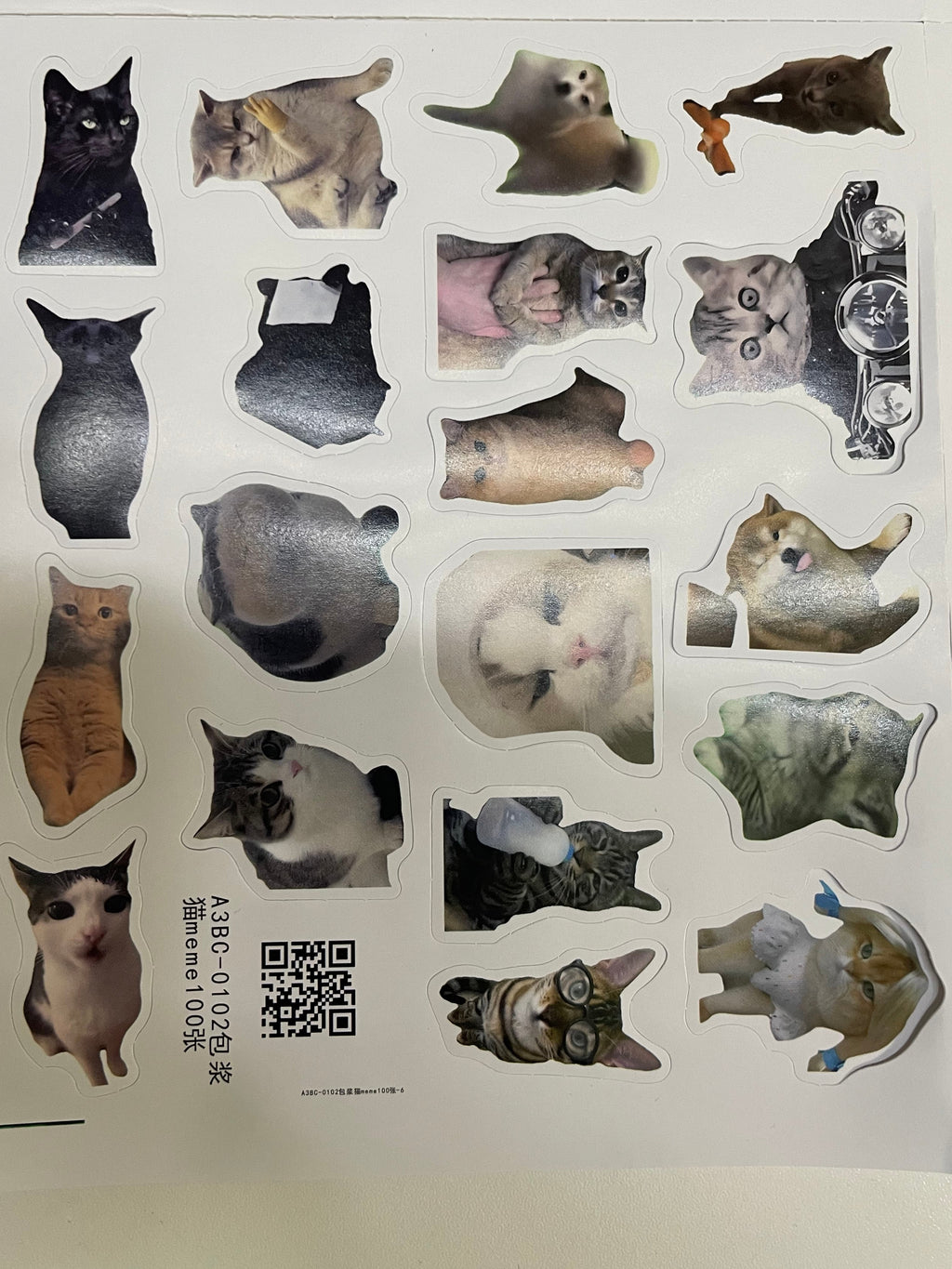 100 pcs Pet Meme Sticker