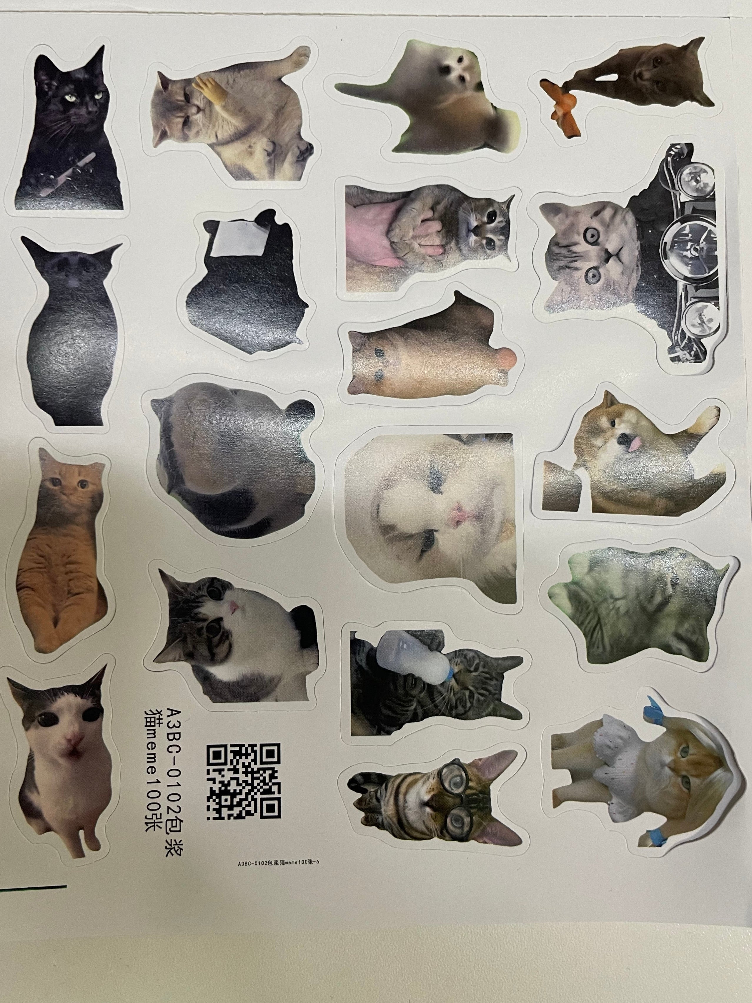 100 pcs Pet Meme Sticker