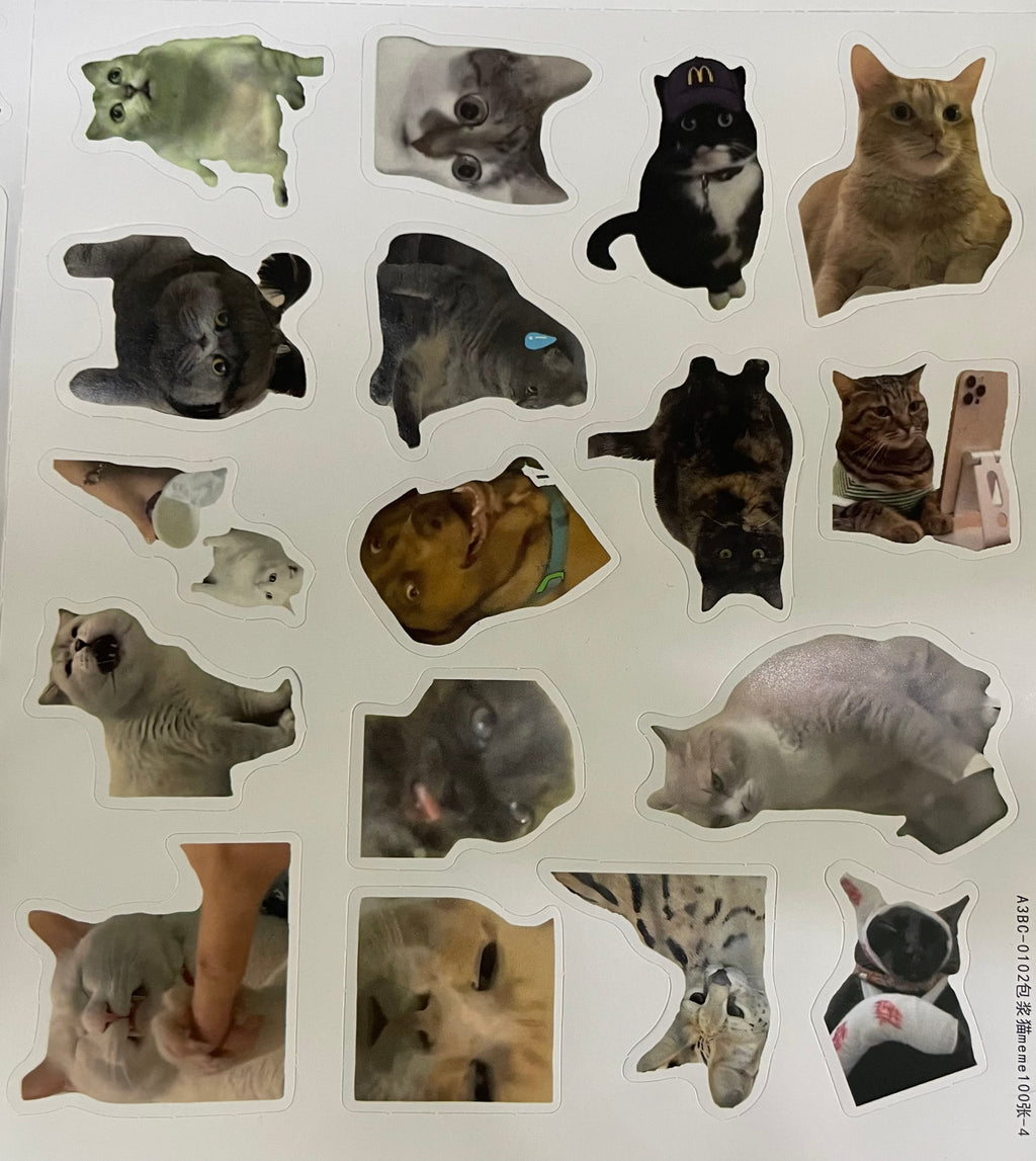 100 pcs Pet Meme Sticker