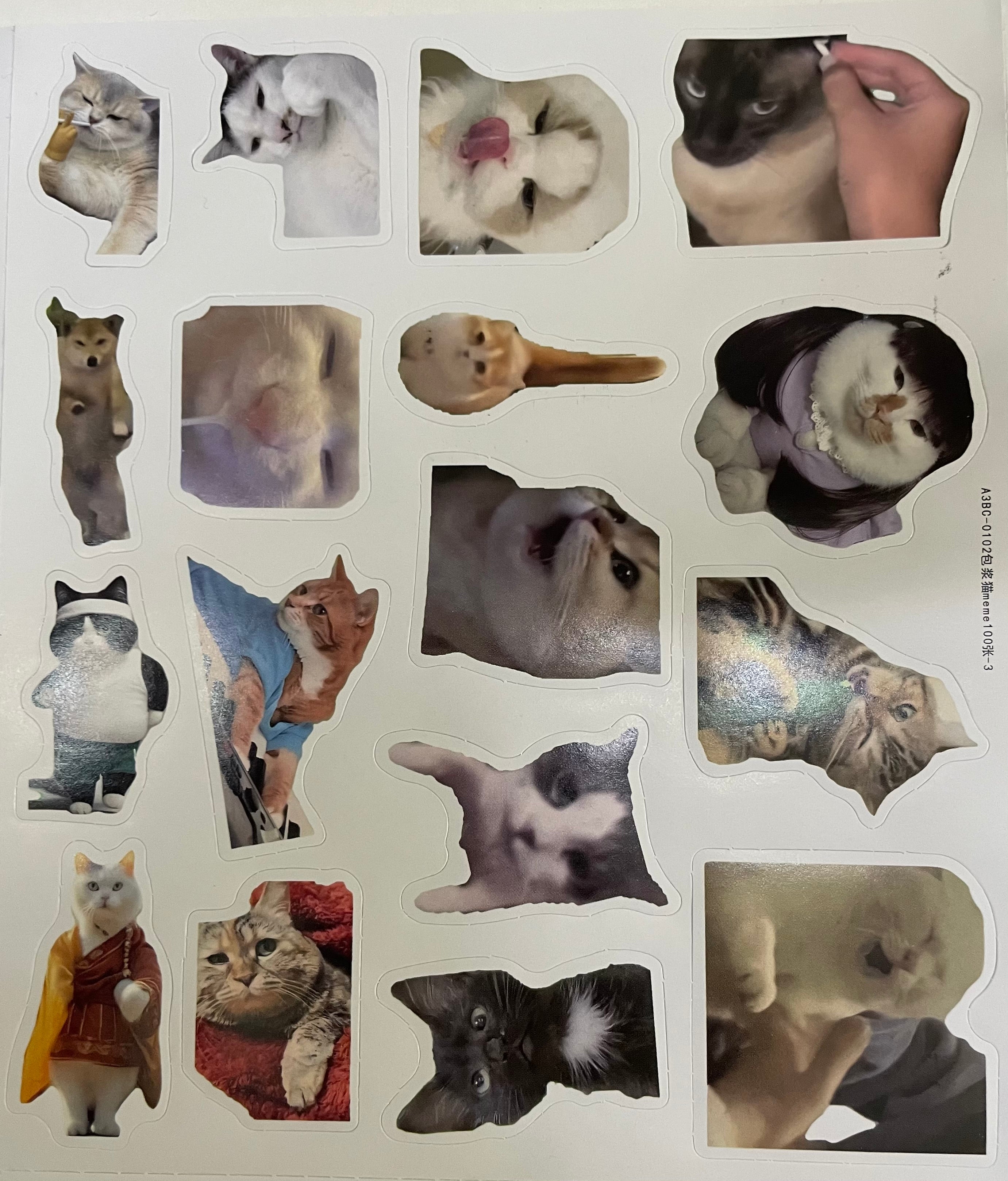 100 pcs Pet Meme Sticker
