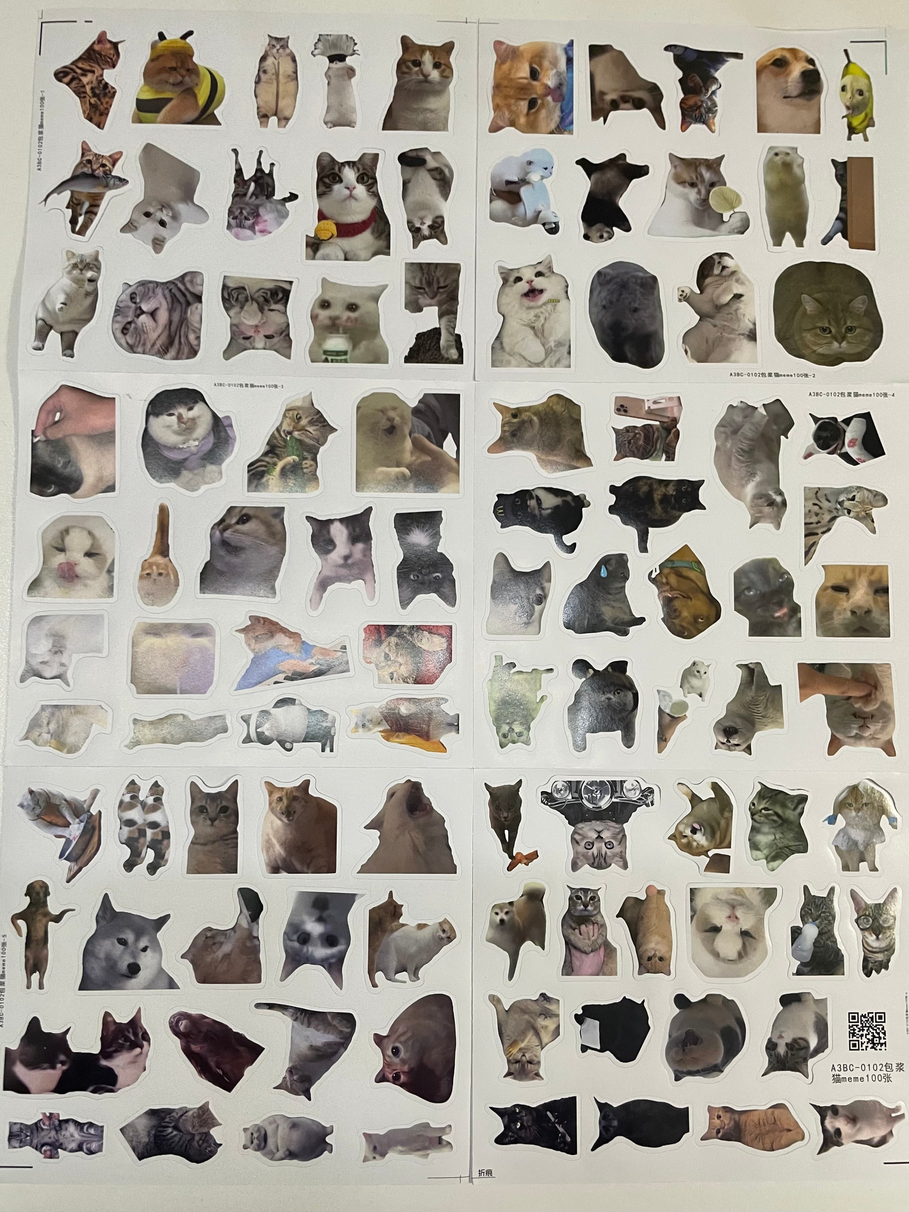 100 pcs Pet Meme Sticker